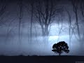 Draconian - The Dying