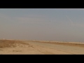 David shulman flying firebird ver 2.0