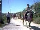 II Passeio a Cavalo (06) - ACRDLMatas