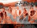 Elefante-Y tu no estas