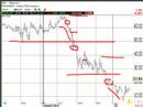 Profit Report - The Liquidity Crisis Profit Report - The Liquidity Crisis