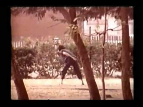 shaw brothers - A rare documentary featuring behind the scenes footage of the Shaw Brothers studio. With David Chiang speaking English.