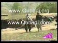 kurdish komidi hamdambal