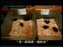 Enagic-Korea TV Part 2