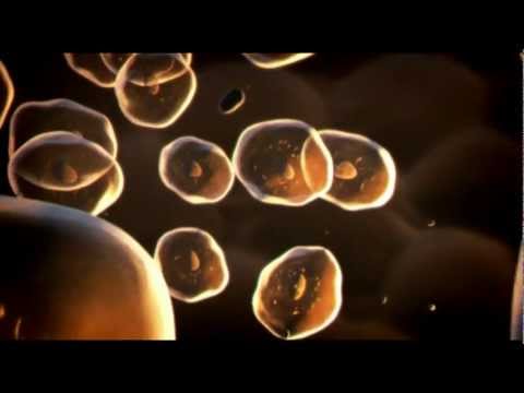 how to isolate rna from small number of cells