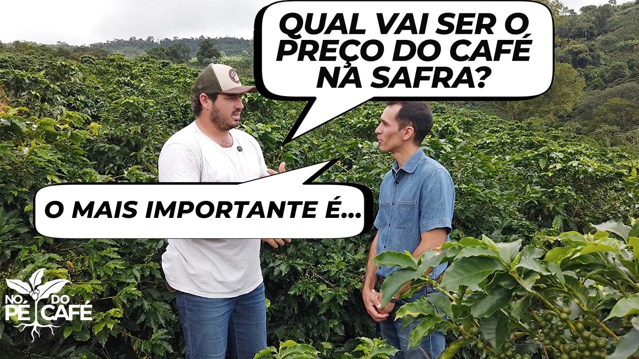 O que vai INFLUENCIAR no PREÇO e o que o CAFEICULTOR PRECISA SABER!!