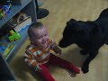 lachendes Baby (laughing baby) lachendes Baby (laughing baby)