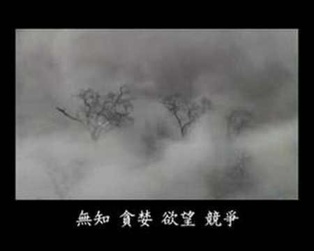 救命的视频