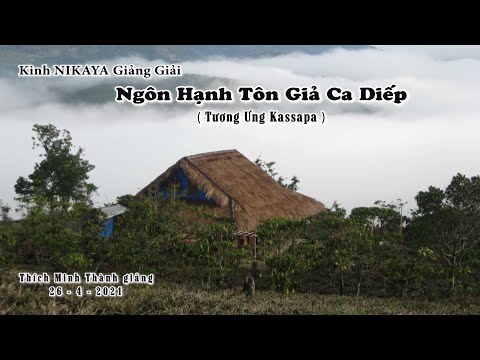 Kinh NIKAYA Giảng Giải - Ngôn Hạnh Tôn Giả Ca Diếp - Tương Ưng Kassapa