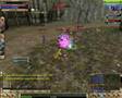 lBlacKLorDl vs GratiS