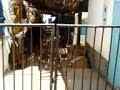 sidi ifni idrab sidi ifni idrab