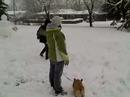 Families First Snow 2008