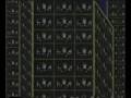 the wool