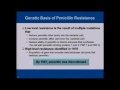 Click here to watch this video The Growing Threat of Multidrug-Resistant Gonorrhea