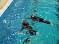 Sea survival training at a marine site in Nordholz, Germany