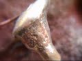 Low voltage spark & zinc electrodes Low voltage spark & zinc electrodes