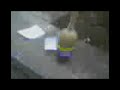 Pepsi Attack Pepsi Attack