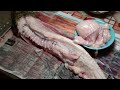 Подводная охота