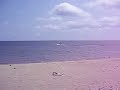 windsurfin