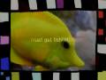 videos de Must Get The Fish !!