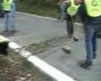 Crash  F 3000 Ralt