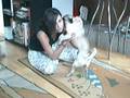 Pug video