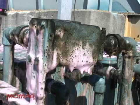 how to dissolve axle grease