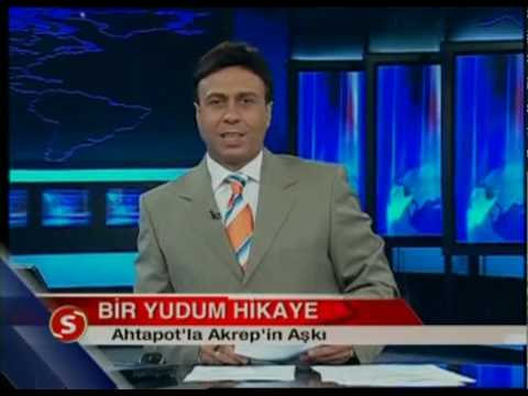 akrep
