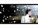 lovebug.wmv