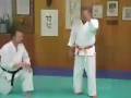 videos de Hidden Joint Jolts from Traditional Kata: Heian 1, 2, 3