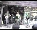 Another Brick in the wall pt2 cover by the poachers im Nacke