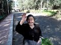 TRITANTI GLOBAL VISION  (PER TUTTI I TRITANTESI DEL MONDO )