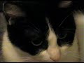 Miss Ticklebottom On Tasco\ Miss Ticklebottom On Tasco\