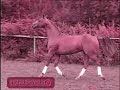 i made this vid and is one of the best ive ever made so i thought i would put it up...enjoy!!!****YOUTUBE I DO NOY OWN THIS SONG BUT PLEASE PLEASE PLEAS PLEASE DONT DELETE IT!!!!!!!*******      i said please  :(