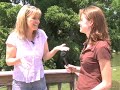 askhayley-hayley-dimarco.html