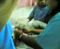 bn38A New Born Assessment bn38A New Born Assessment