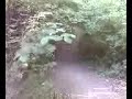 DH track boxley