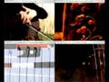Il Violoncello nelle mani di Giovanni Sollima