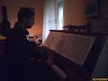 the first movement of schumann's forest scenes.