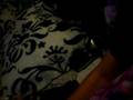 wal-mart vision center prank call ( :