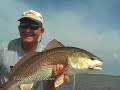 The Red Zone-Fly-Fishing for Red Fish