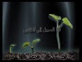 مستشار استراتيجيات ادارة الذات الاستاذ خليفة محمد الزعابى يدير عقلك بنجاح