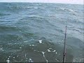 Fishing Flounder Tournament (day 2)