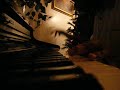 zelda-twilight-princess-glitch.html