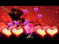 ┣▇ Haider Ali ▇▇▇▇▇═─