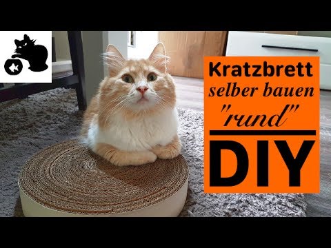 🔥Katzen Kratzbrett selber bauen 