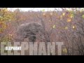 Safari Edit Kruger