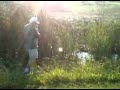 View Video