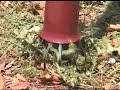 Weeding made easy Weeding made easy