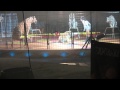 Shrine Circus Tigers 2012 pt 4